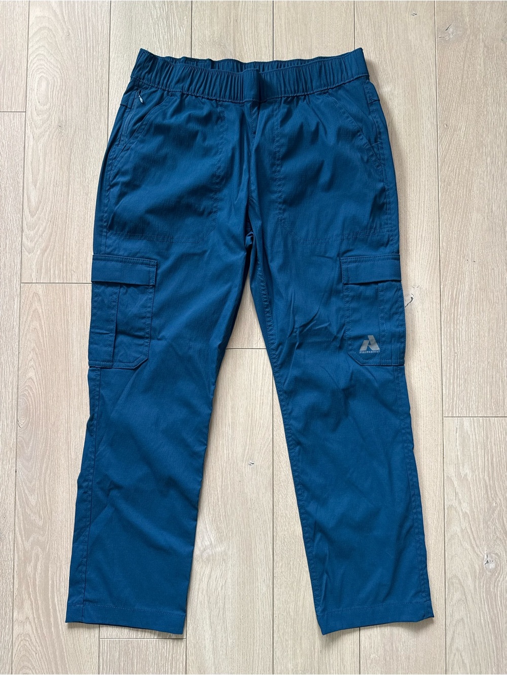 Eddie Bauer First Ascent Hiking Cargo Pants in Marine Women’s Size Petite 4